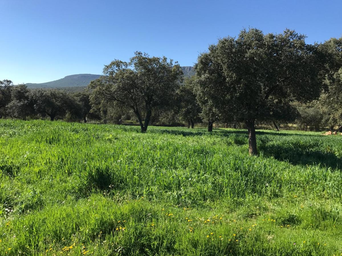 Casa Rural De La Finca Sierra Grande Hornachos Luaran gambar